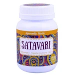 Био Аюрведа Шатавари на прах, Dragon Superfoods, 90 гр.