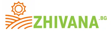 Живана БГ